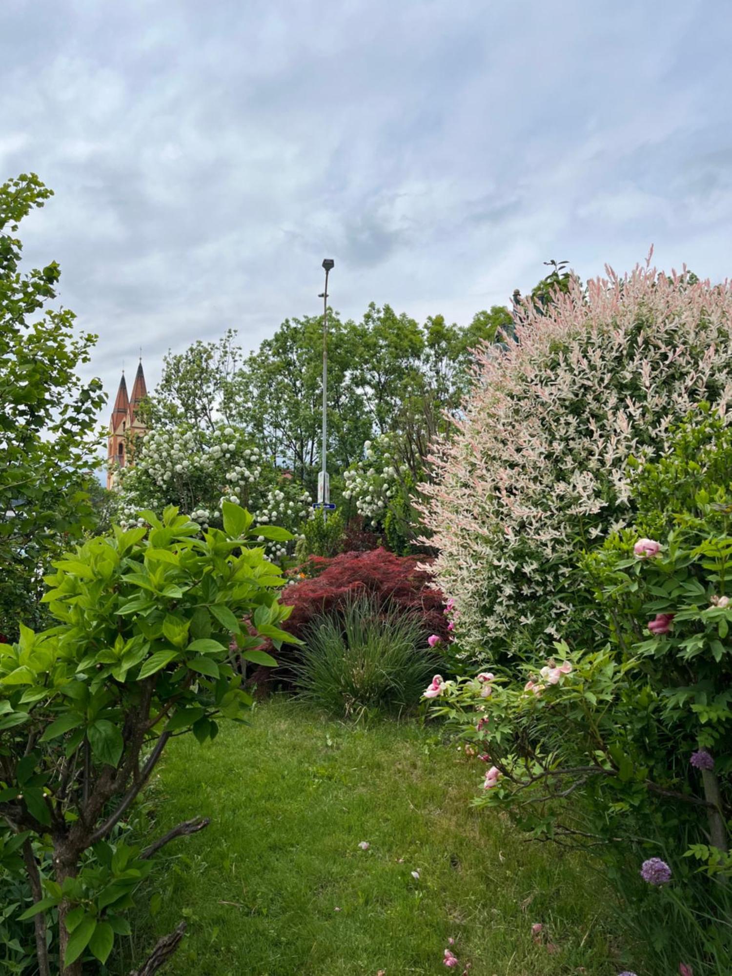 Bed and Breakfast Telfer Stubm Тельфс Экстерьер фото
